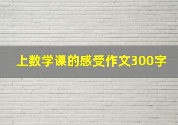 上数学课的感受作文300字