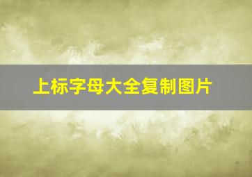 上标字母大全复制图片