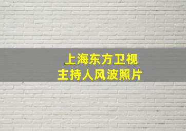 上海东方卫视主持人风波照片