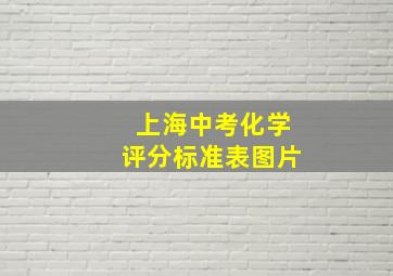 上海中考化学评分标准表图片