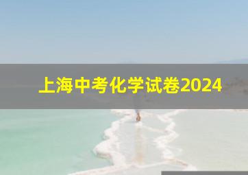 上海中考化学试卷2024