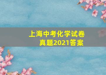 上海中考化学试卷真题2021答案