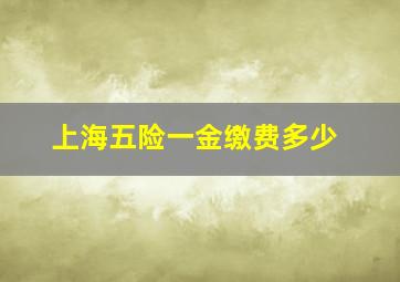 上海五险一金缴费多少