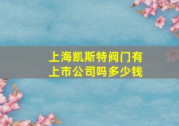 上海凯斯特阀门有上市公司吗多少钱