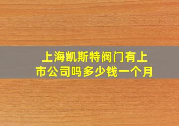 上海凯斯特阀门有上市公司吗多少钱一个月