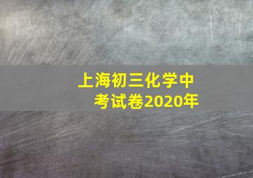 上海初三化学中考试卷2020年