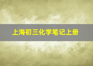 上海初三化学笔记上册