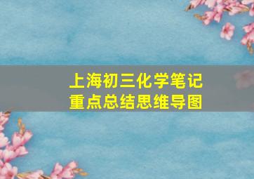 上海初三化学笔记重点总结思维导图