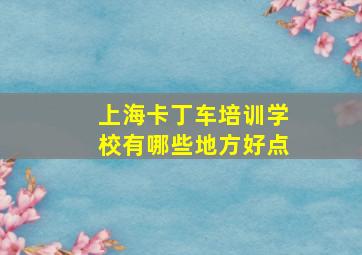 上海卡丁车培训学校有哪些地方好点