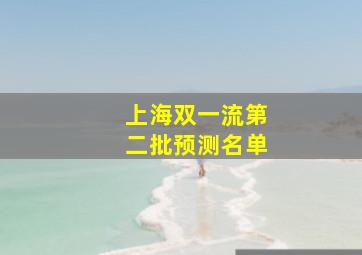 上海双一流第二批预测名单