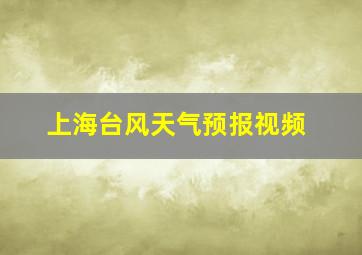 上海台风天气预报视频