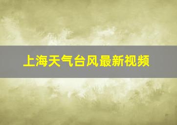 上海天气台风最新视频