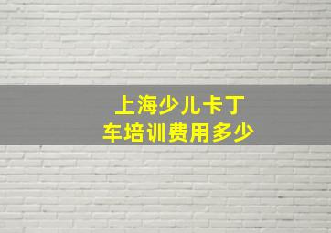 上海少儿卡丁车培训费用多少