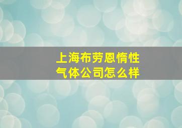 上海布劳恩惰性气体公司怎么样