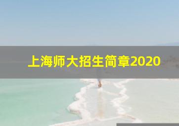 上海师大招生简章2020