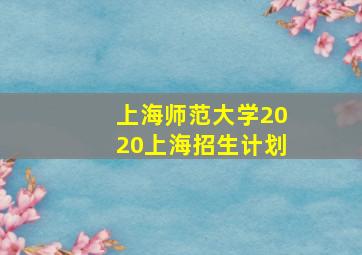 上海师范大学2020上海招生计划