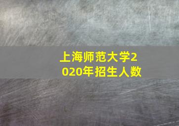 上海师范大学2020年招生人数