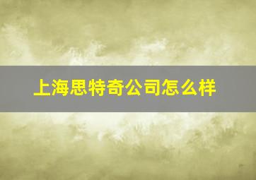 上海思特奇公司怎么样