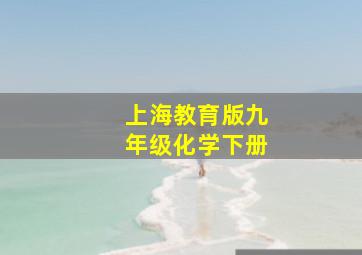 上海教育版九年级化学下册