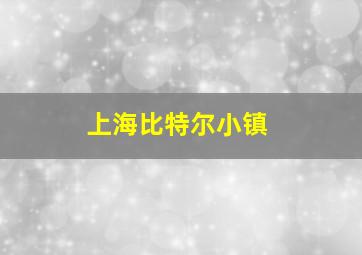 上海比特尔小镇