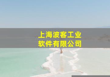 上海波客工业软件有限公司