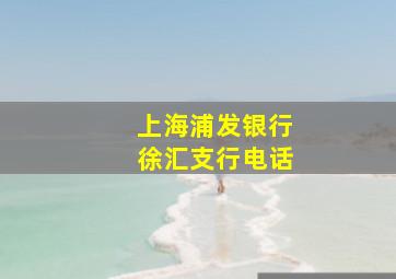 上海浦发银行徐汇支行电话