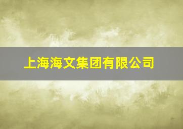 上海海文集团有限公司