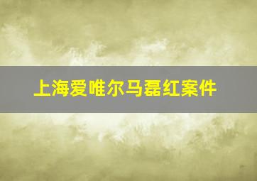 上海爱唯尔马磊红案件