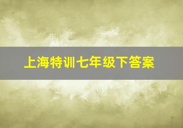 上海特训七年级下答案