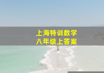 上海特训数学八年级上答案