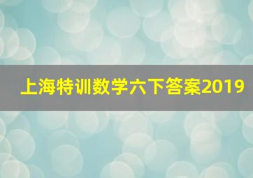 上海特训数学六下答案2019