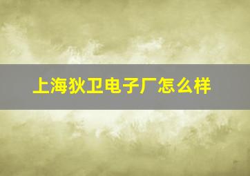 上海狄卫电子厂怎么样