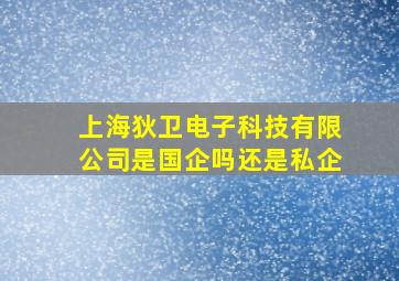 上海狄卫电子科技有限公司是国企吗还是私企