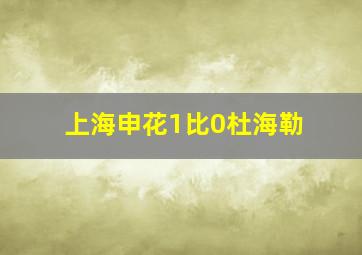 上海申花1比0杜海勒