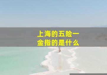 上海的五险一金指的是什么