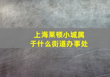 上海莱顿小城属于什么街道办事处