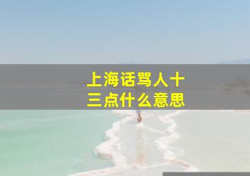 上海话骂人十三点什么意思