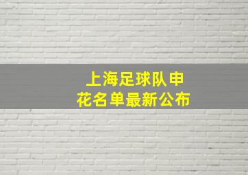 上海足球队申花名单最新公布