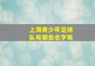 上海青少年足球队有哪些名字呢