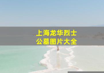 上海龙华烈士公墓图片大全