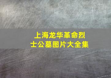 上海龙华革命烈士公墓图片大全集