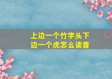 上边一个竹字头下边一个虎怎么读音