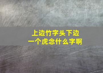 上边竹字头下边一个虎念什么字啊