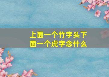 上面一个竹字头下面一个虎字念什么