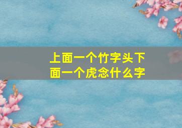 上面一个竹字头下面一个虎念什么字