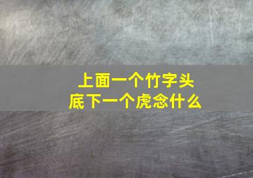 上面一个竹字头底下一个虎念什么