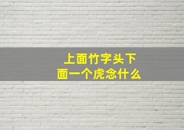 上面竹字头下面一个虎念什么