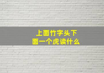 上面竹字头下面一个虎读什么