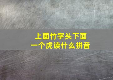 上面竹字头下面一个虎读什么拼音