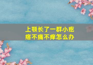 上颚长了一群小疙瘩不痛不痒怎么办